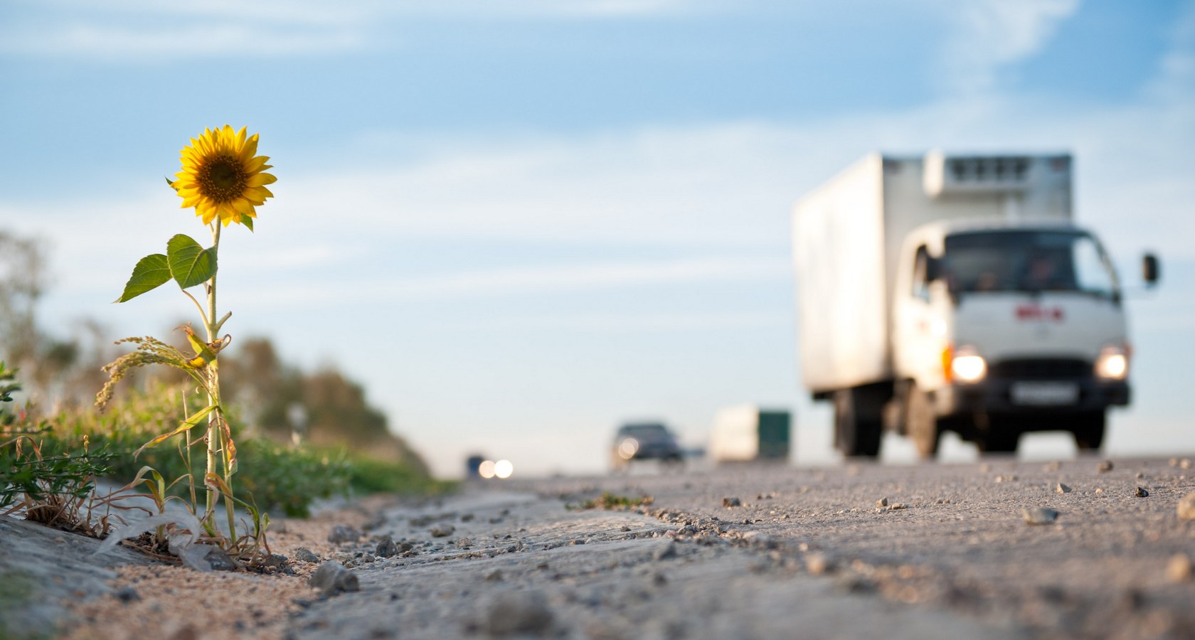 Подорожал проезд на большинстве участков трассы «Дон»